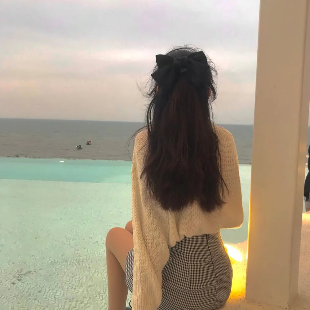 逐梦美声黄玫瑰